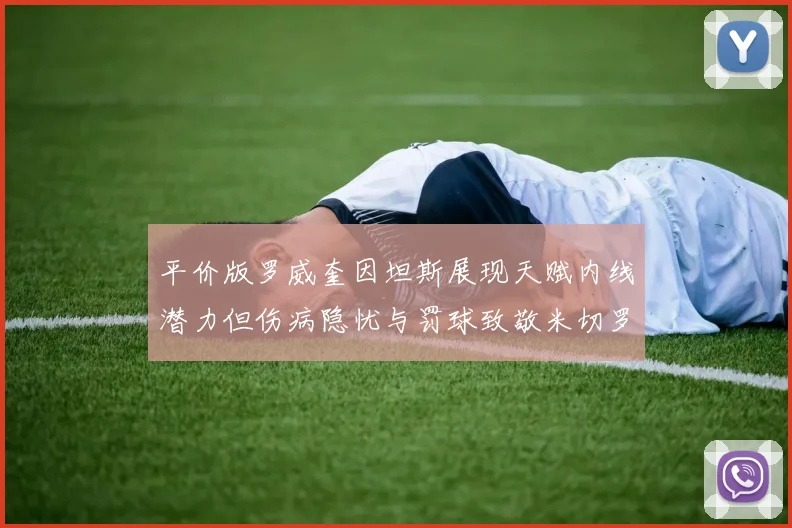 平价版罗威奎因坦斯展现天赋内线潜力但伤病隐忧与罚球致敬米切罗
