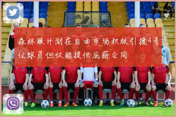 森林狼计划在自由市场积极引援4号位球员但仅能提供底薪合同